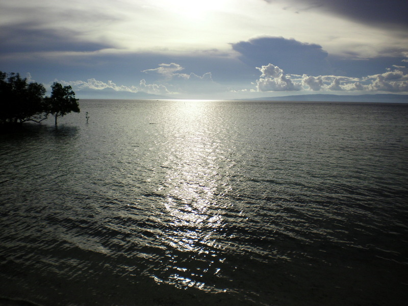 SANYO DIGITAL CAMERA